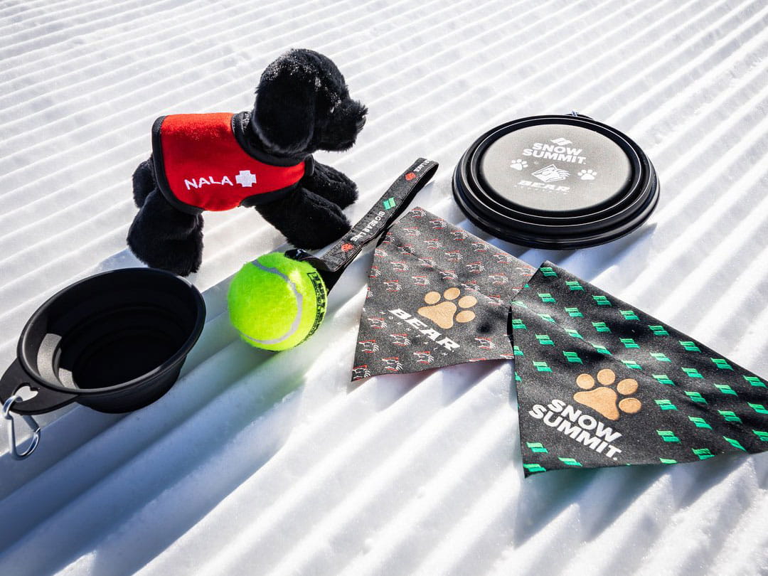 Nala Buddy Pack