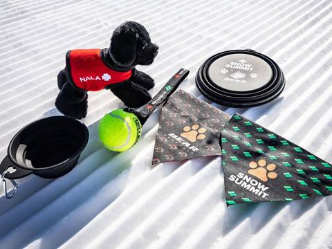 Nala Buddy Pack