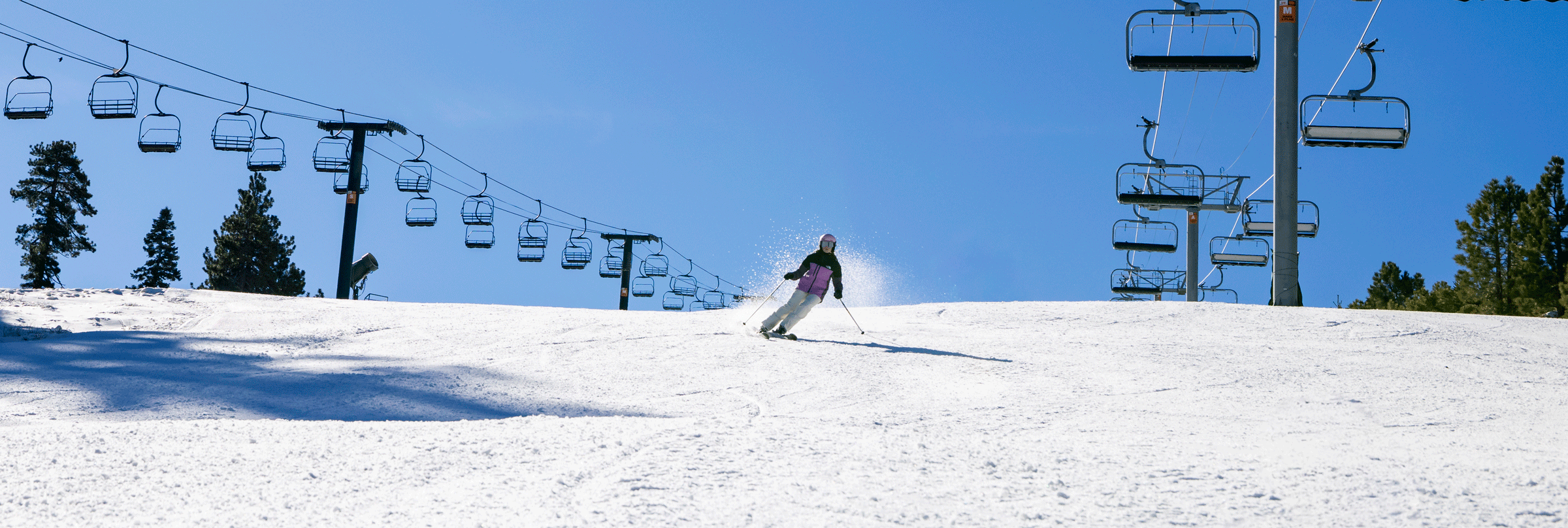 Skier going down a ski run on a sunny day in the winter at Big Bear Mountain Resort
