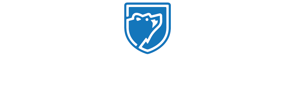 Visit Big Bear Logo white and blue