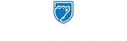 Visit Big Bear Logo white and blue
