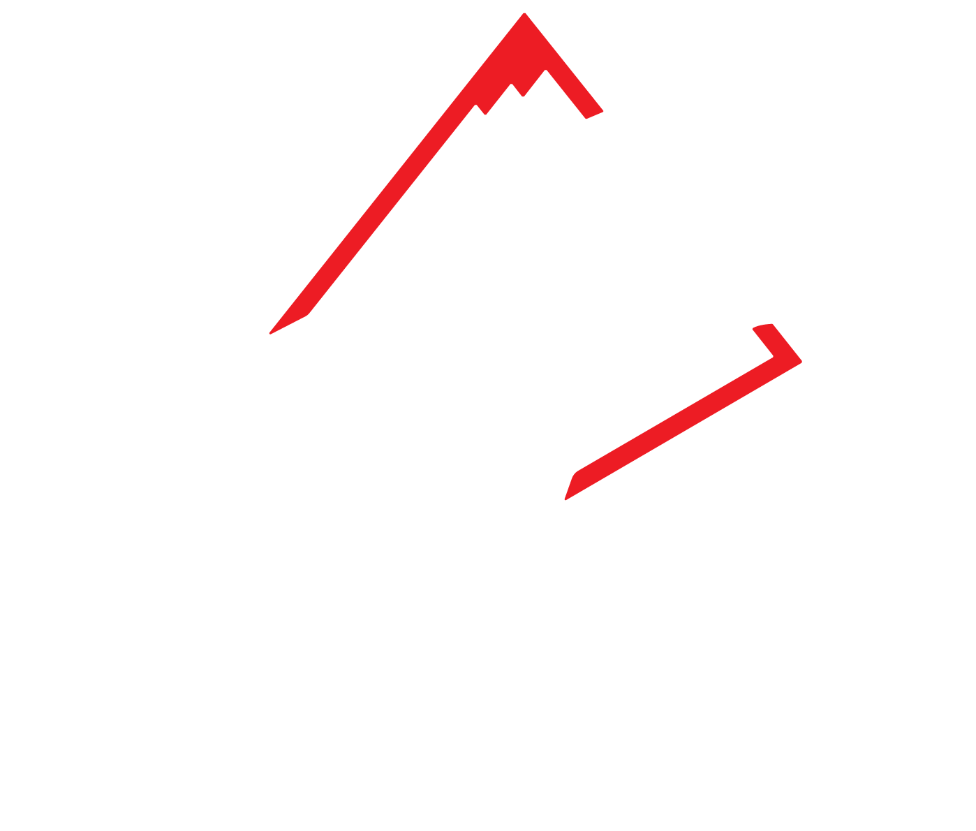 Bear Mountain logo with red and white