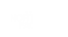 The North Face logo