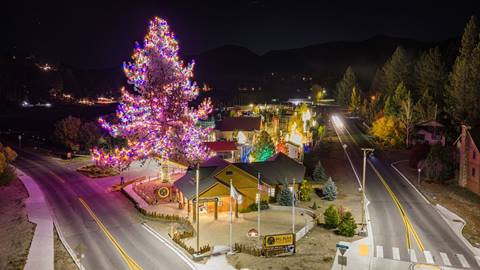 An arial drone view of the Big Bear Alpine Zoo at night with the trees and paths lit up with colorful, vibrant lights.