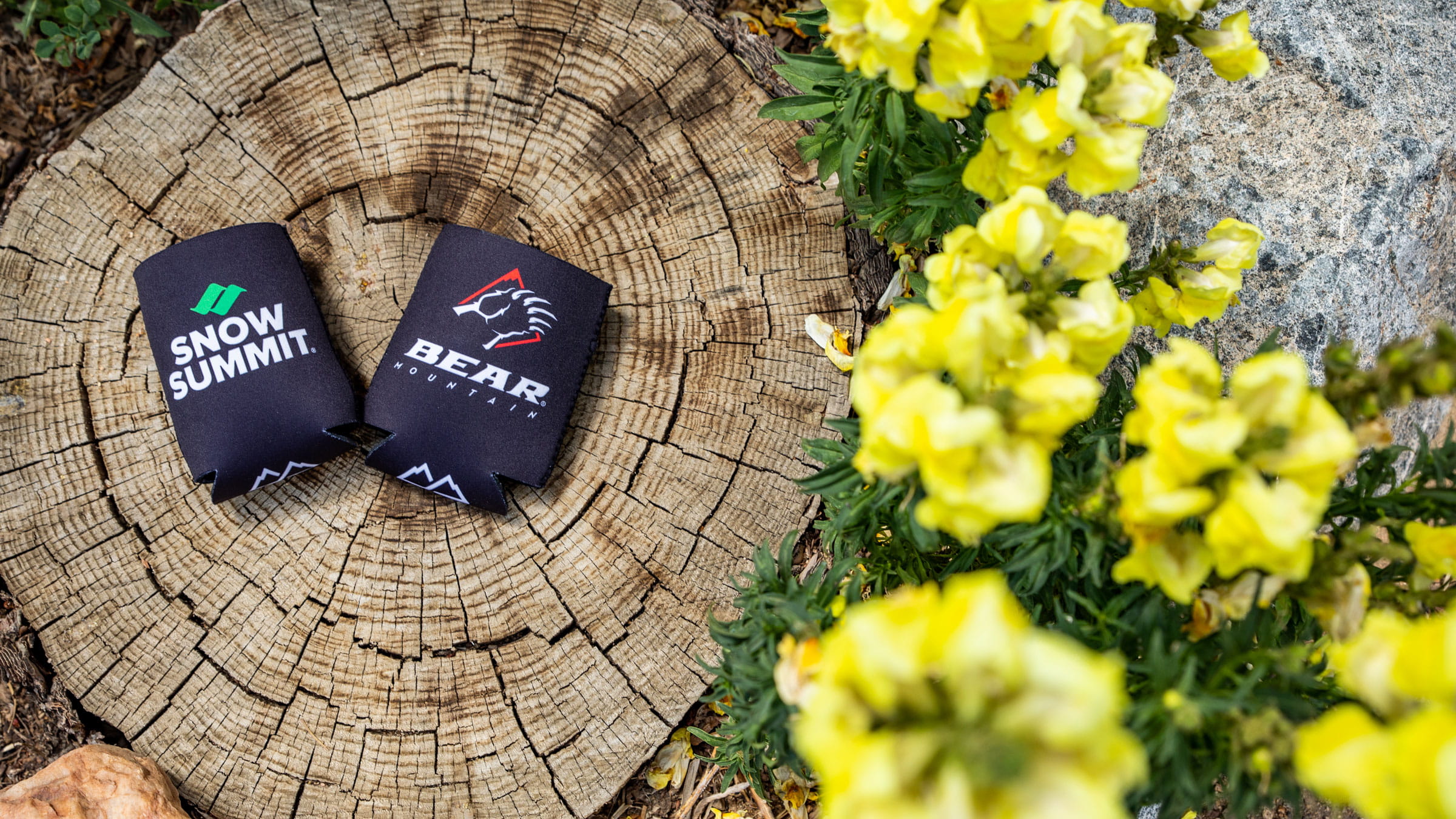 Snow Summit and Bear Mountain koozie on a tree stump