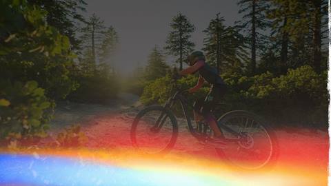 A mountain bike rider, in a matching Fox branded jersey and pant bike apparel set with a full face helmet on a black mountain bike, riding a dirt trail at Snow Valley during summer.