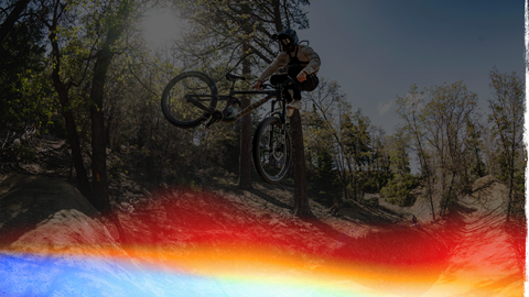 A mountain biker riding down a dirt trail at Snow Summit Bike Park during Opening Day, surrounded by green pine trees under a clear blue sky.