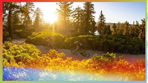 A solo mountain biker riding through a trail at the Summit Bike Park