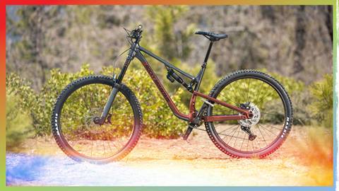 A freeride mountain bike rental in a redish grey color with black wheels posted up in the wilderness at summit bike park