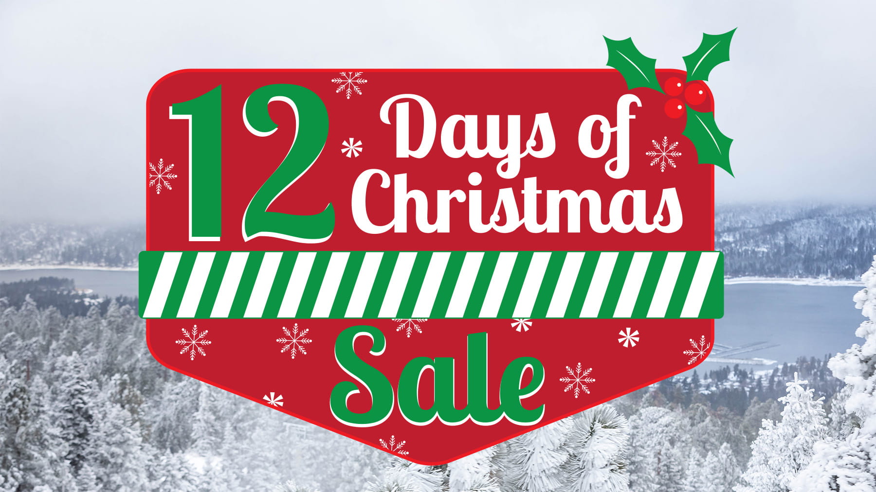 12 Days of Christmas