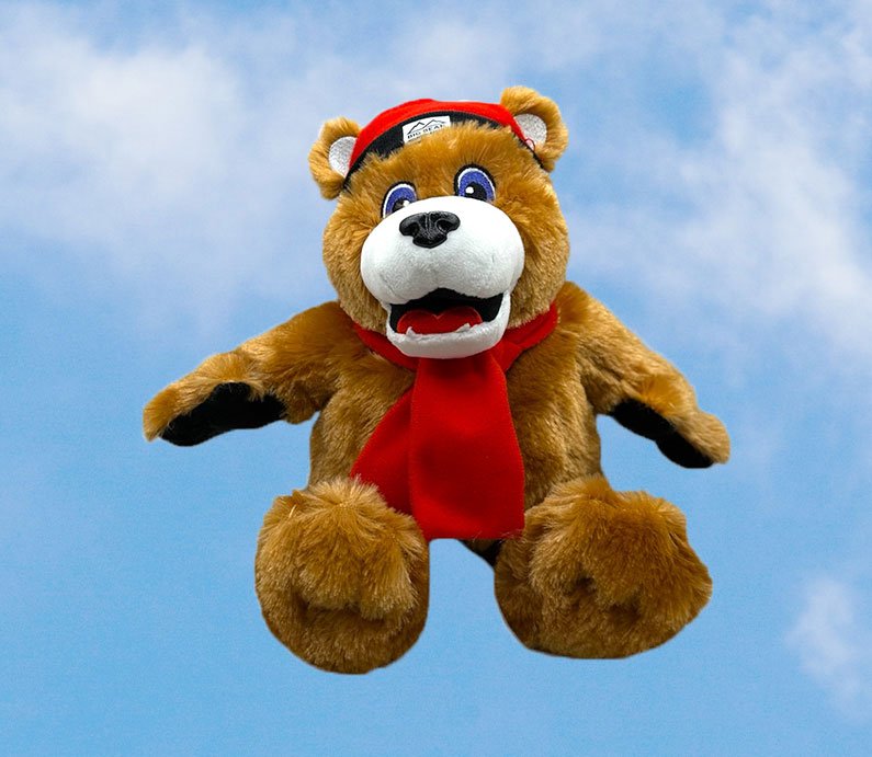 A plush brown bear toy with a red scarf and red with black brim beanie.