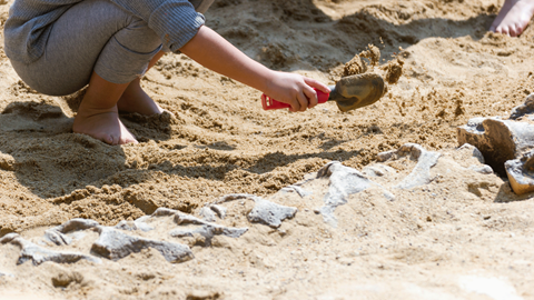 Young child, using a shovel, digging up dirt to uncover fossils