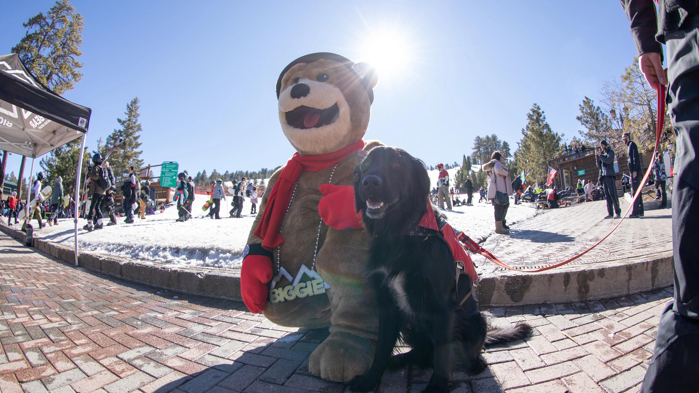 Nala the Patrol dog with Biggie