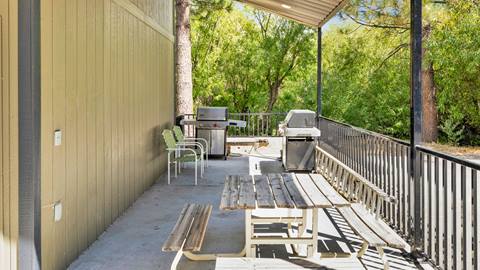 An forested outdoor area with a picnic table, chairs, and two grills for cooking meals.