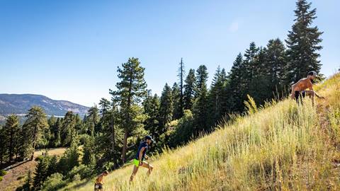 Runners running uphill at Snow Summit on a clear sky blue day