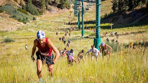 runners running uphill in the summer grass