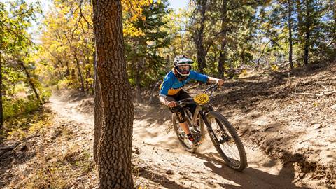 Cyclist in blue riding on dirt path with trees and bushes in the background