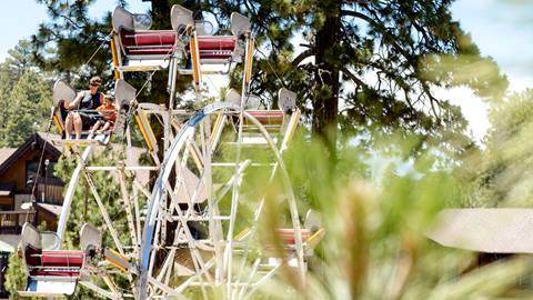 Adult in black tank top and shorts, with a child in orange t-shirt riding a ferris wheel.