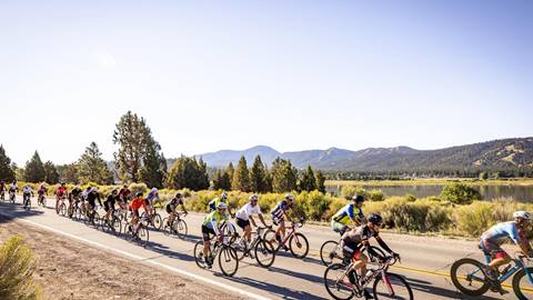 road bikers racing in the tour de big bear
