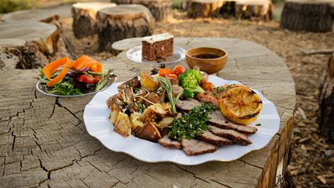 Plate of food lying on a wooden tree top