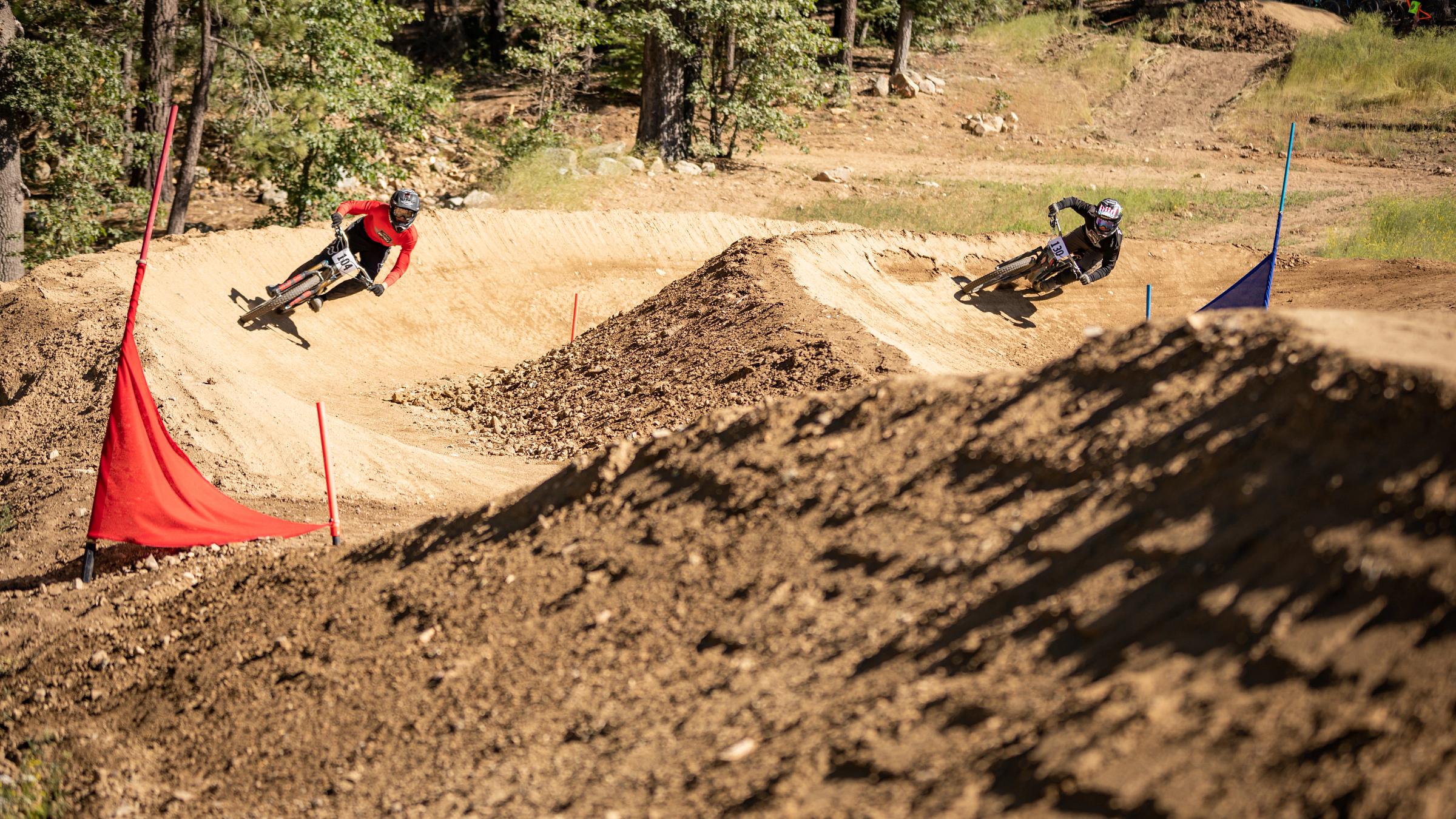 Dual slalom race