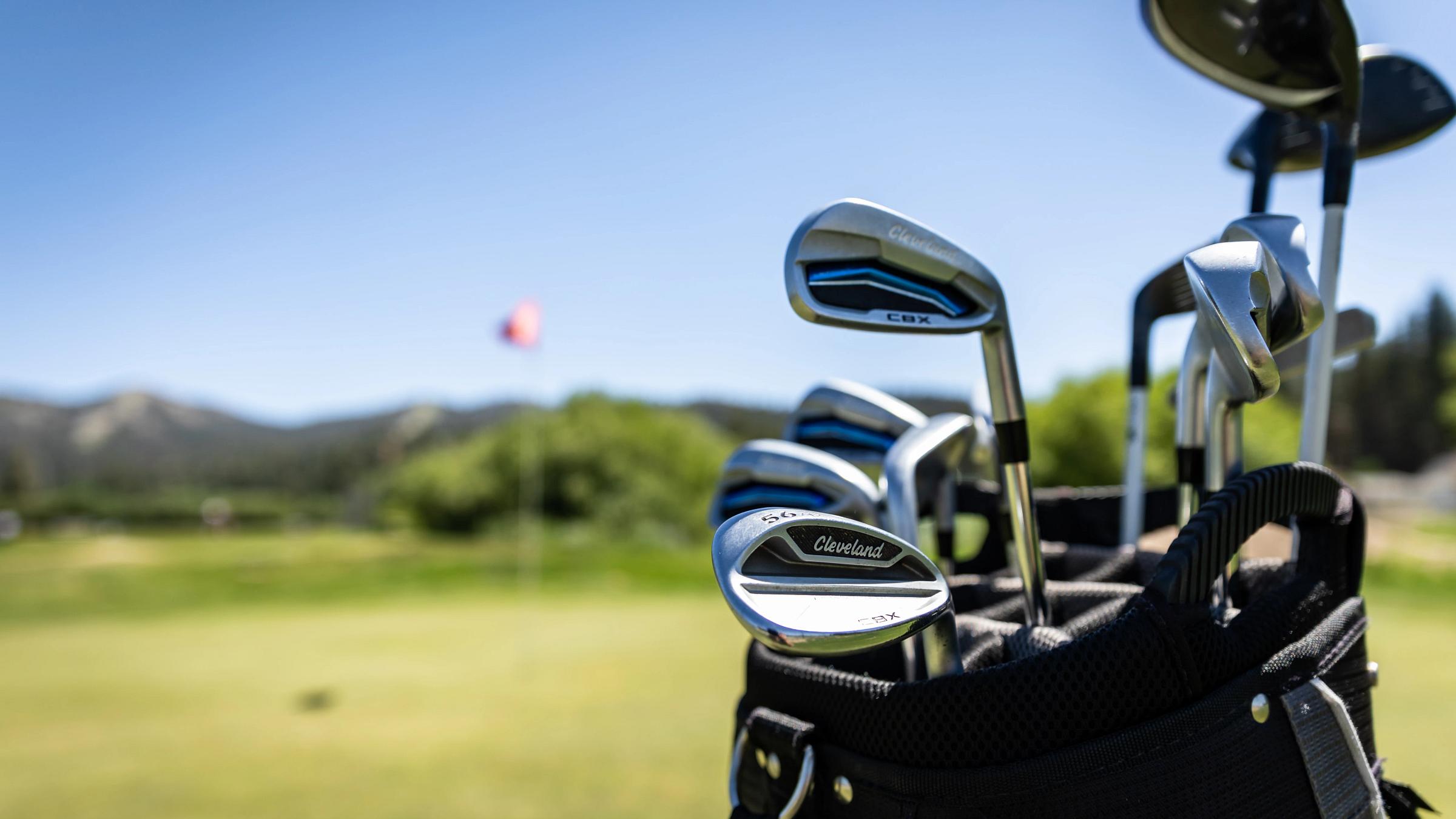 Golf clubs in golf bag.