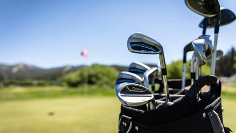 Golf clubs in golf bag.