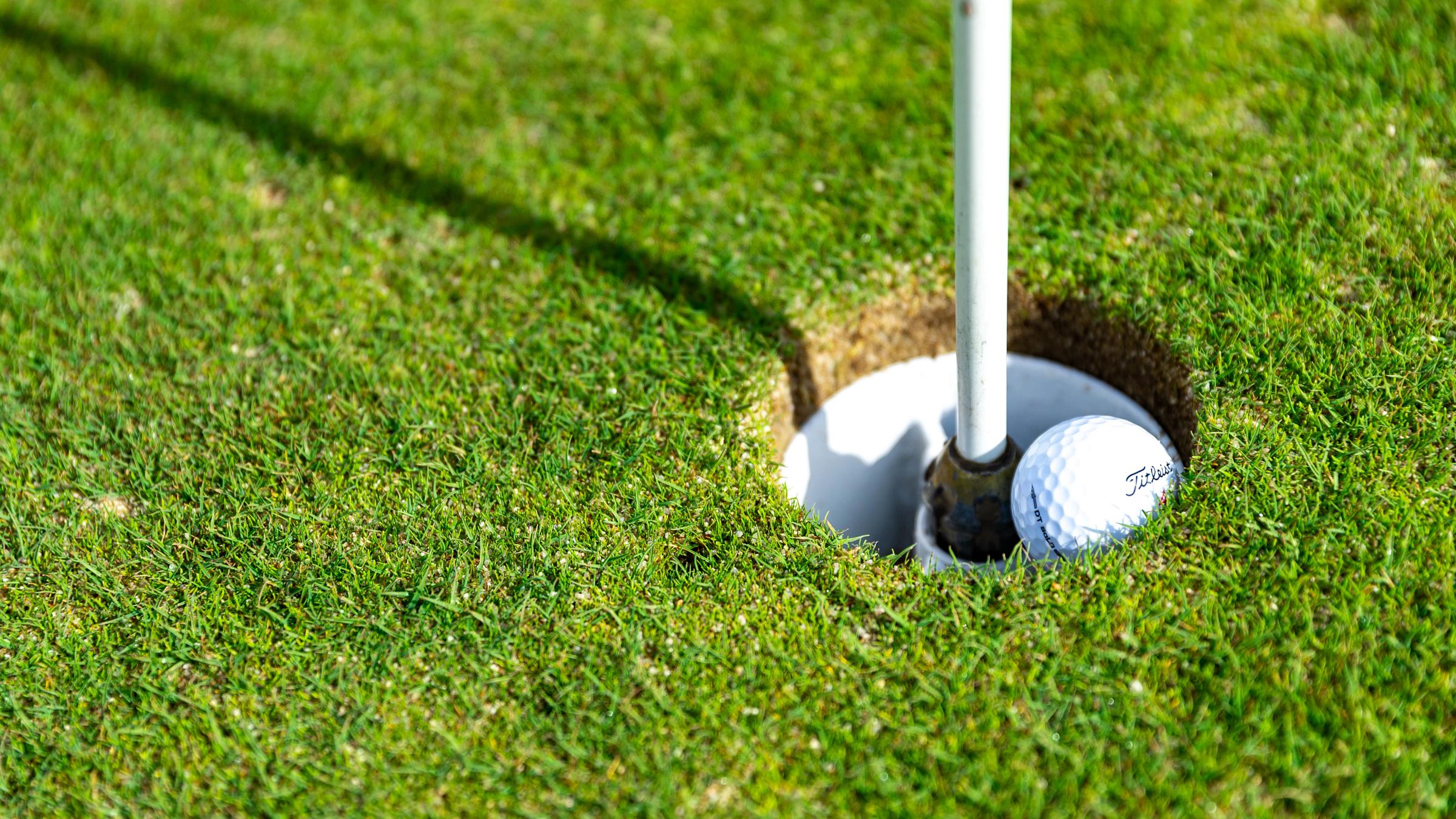 Golf Ball in cup.