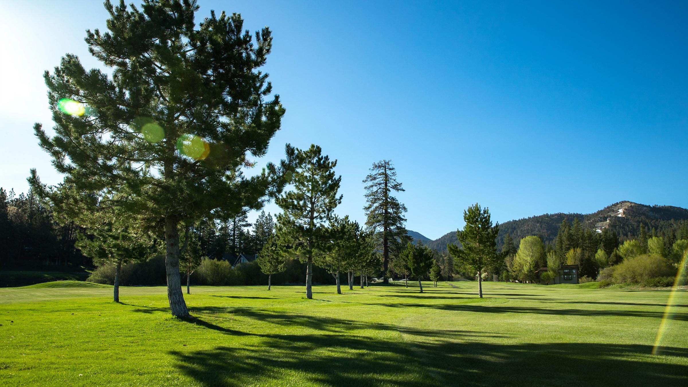 2020-05-12_BB_LS_GolfCourseAM_Raw0166.jpg