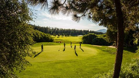 A group of four on the green at Bear Mountain Golf Course