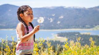 Little girl blowing a dandelion