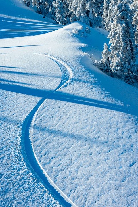 First tracks from a skier in a fresh powder snow covered ski slope