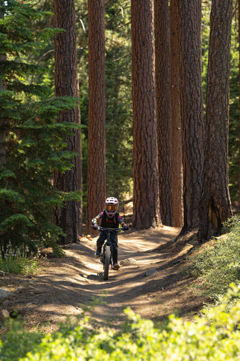 Child downhill mountain biking in the forest