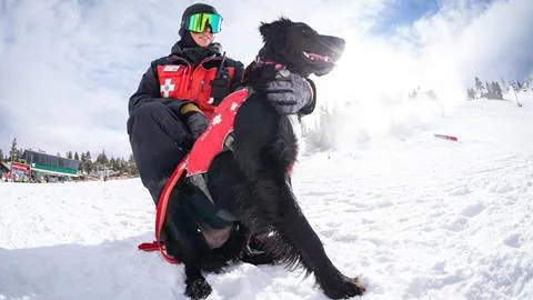 Patrol with an avalanche dog in training
