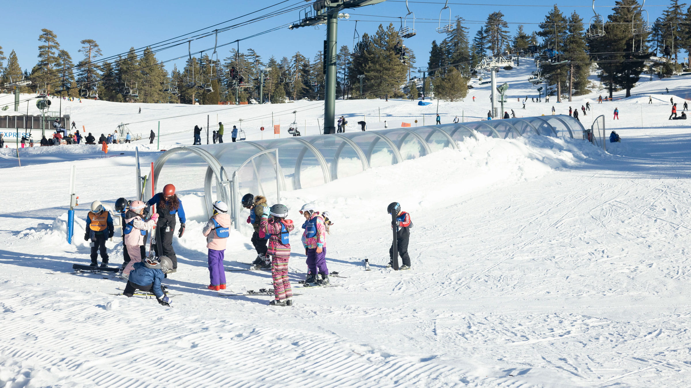 Bunch of kids standing on the snow waiting for their lesson