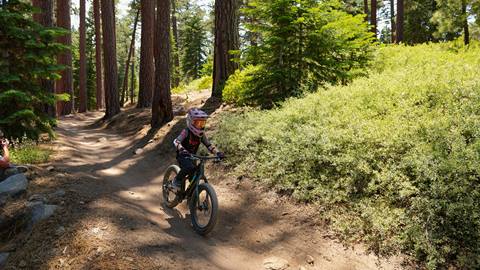 Young kid riding a mountain bike on a dirt bike park trail with trees and lush greenery on the sides.