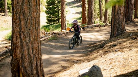 Young kid riding a mountain bike on a dirt bike park trail with tall trees on the sides.