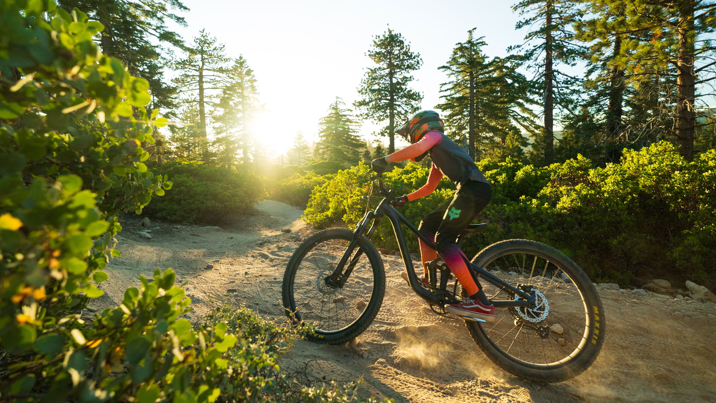 Snow Valley MTB Camp — September 2026 poster or cover