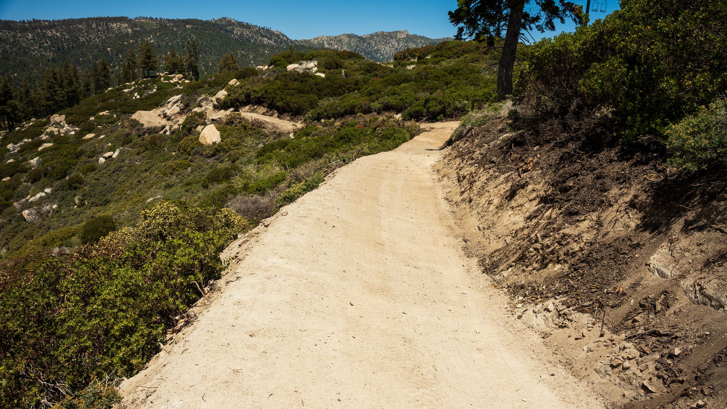 Mountain dirt online