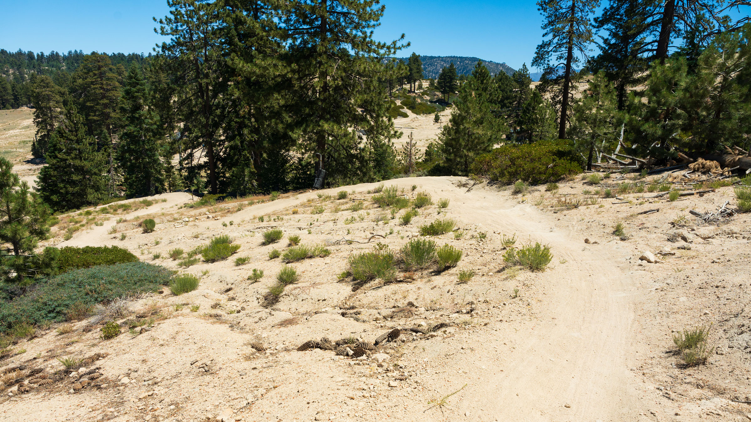 Trail view of Crazy Horse MTB trail at Snow Valley in the summer