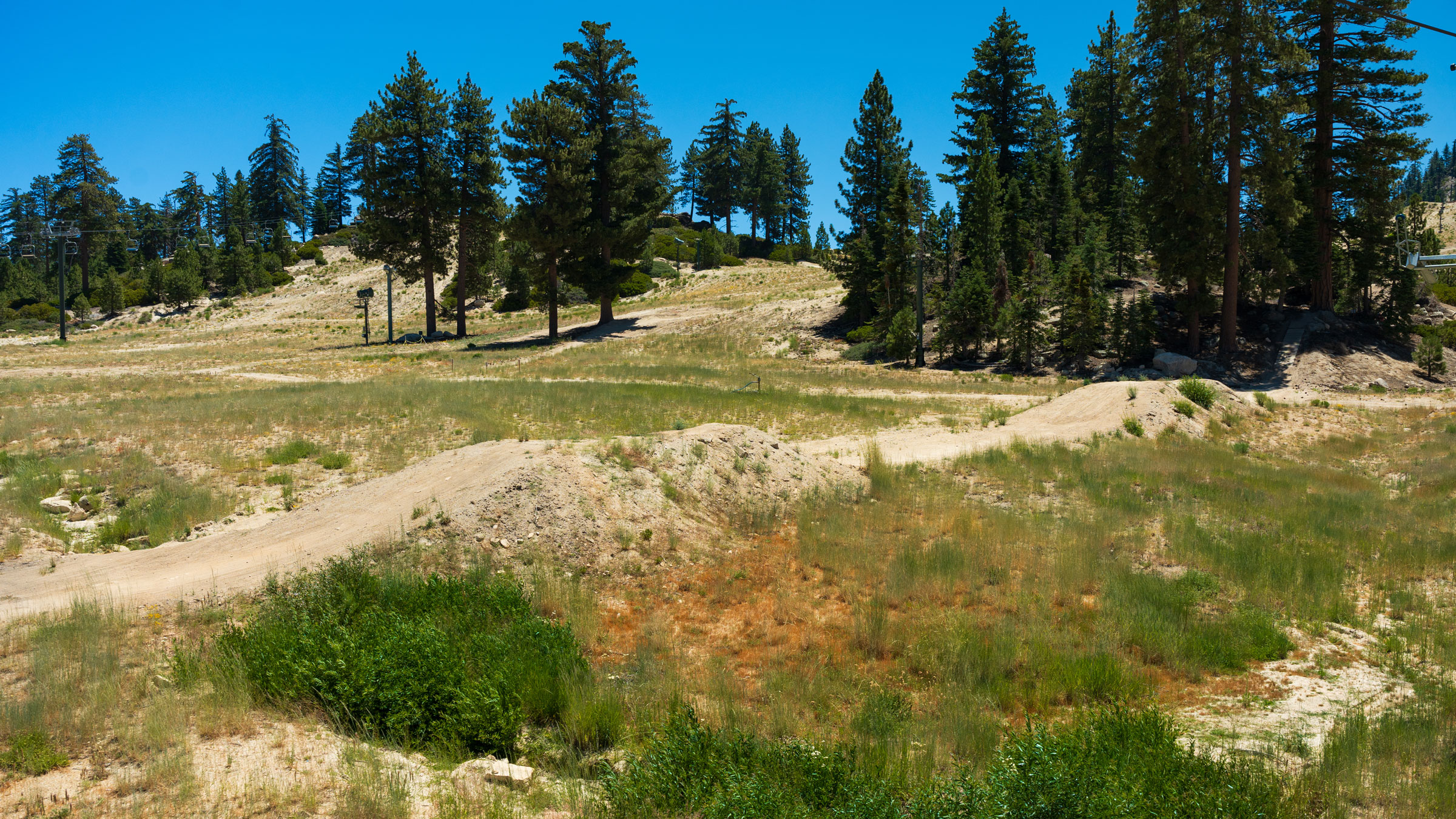 Trail view of Jump Line MTB trail at Snow Valley in the summer