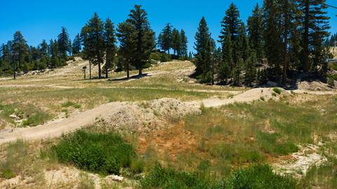 Trail view of Jump Line MTB trail at Snow Valley in the summer