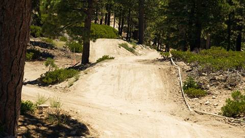 Trail view of Winchester MTB trail at Snow Valley in the summer