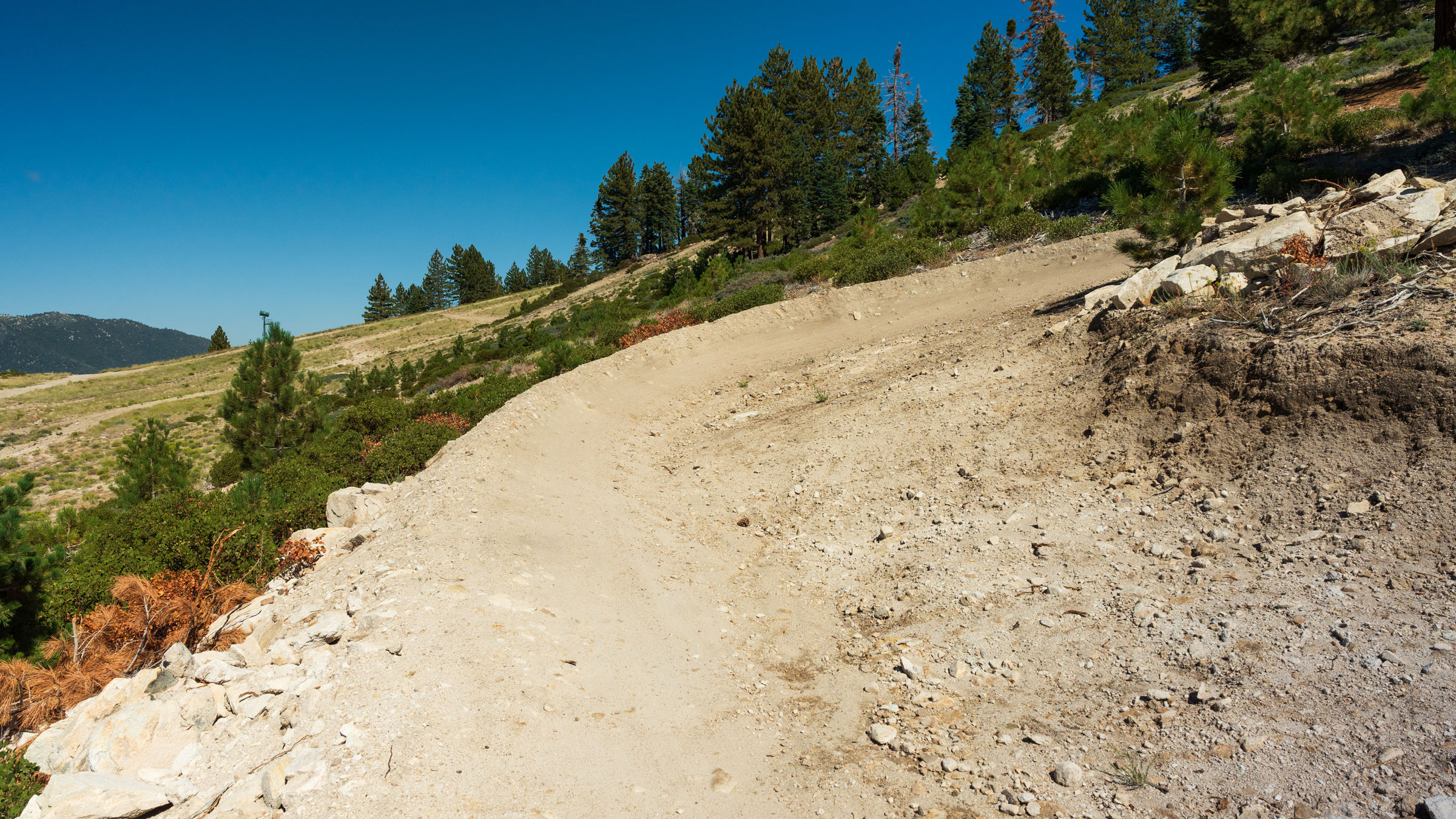 Trail view of Bandit MTB trail at Snow Valley in the summer