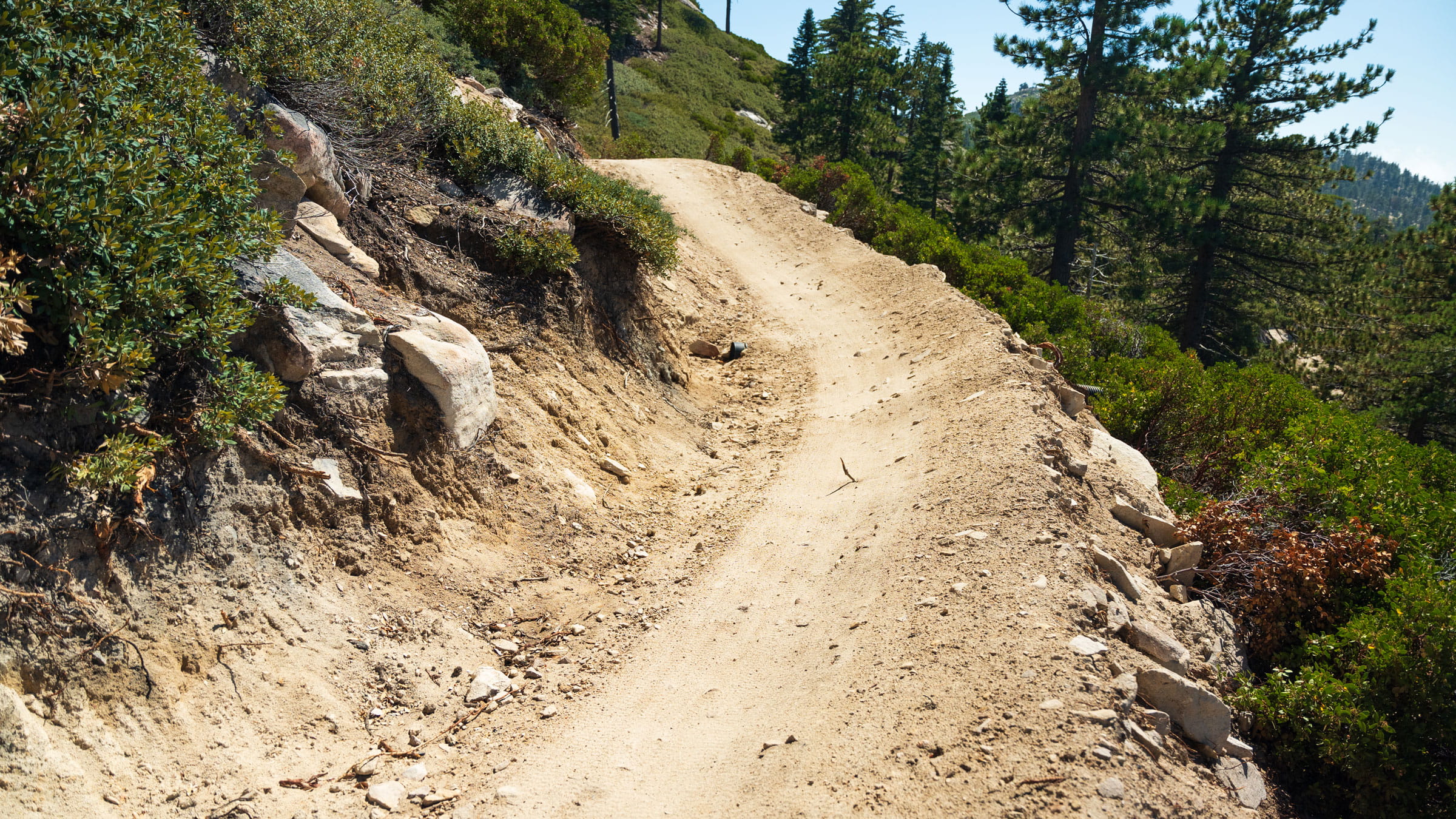 Trail view of Green Horn MTB trail at Snow Valley in the summer
