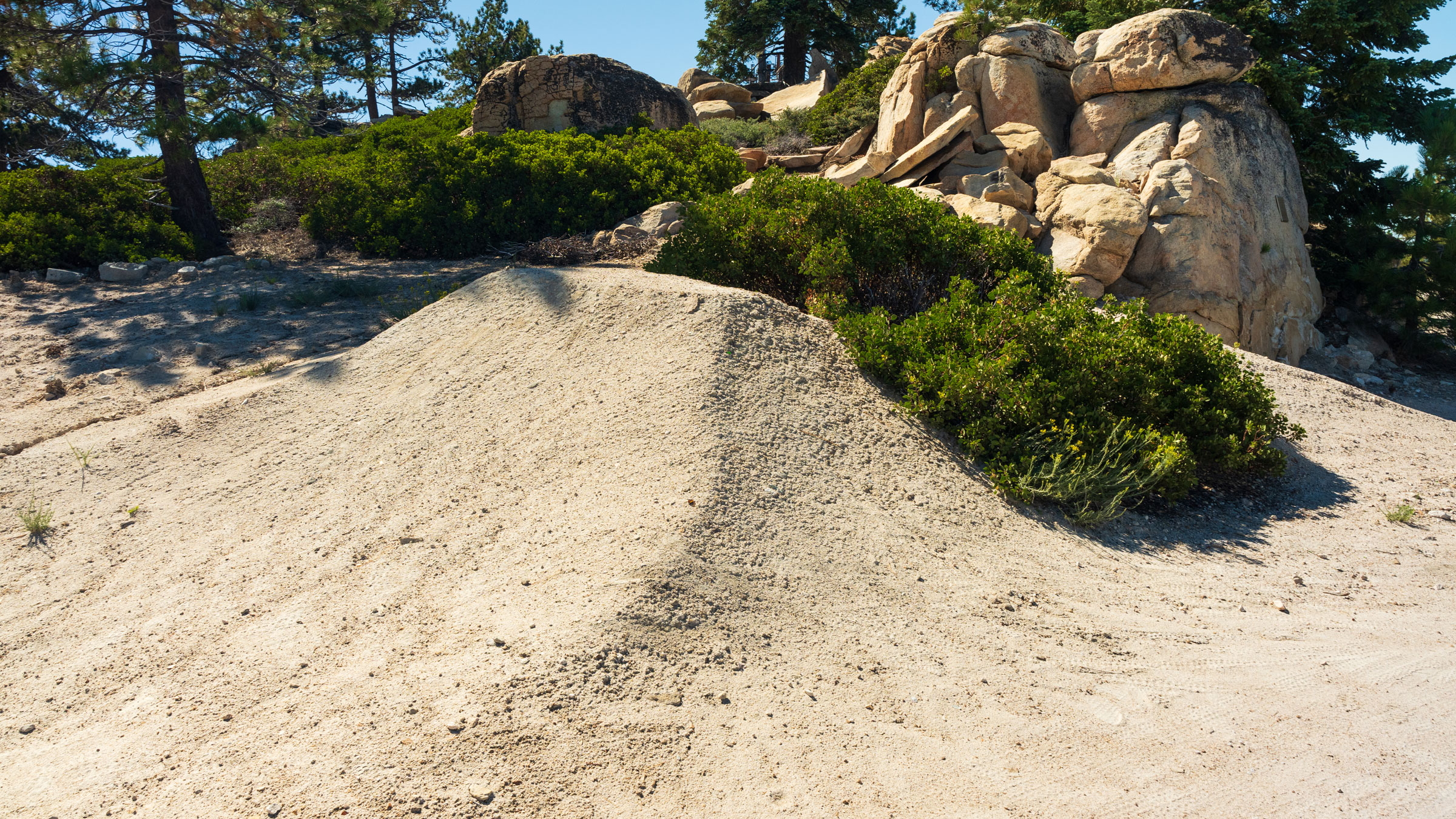 Trail view of Quick Draw MTB trail at Snow Valley in the summer