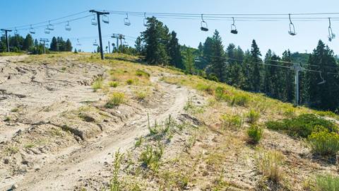 Trail view of Sundance MTB trail at Snow Valley in the summer
