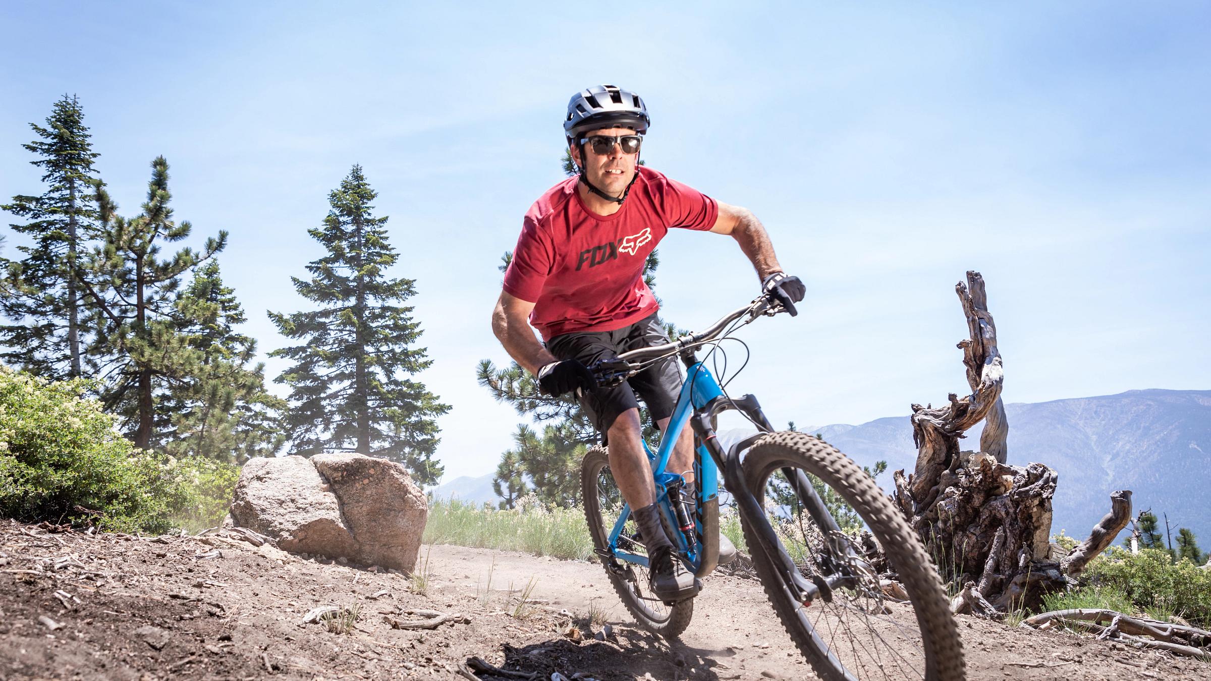 INSERT FULL DESCRIPTION HERE.