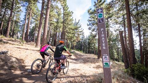 Two mountain bikers going cross country