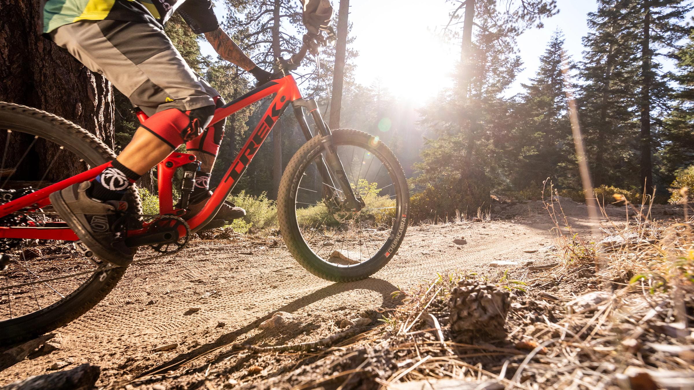 Rider on a MTB doing an air trick